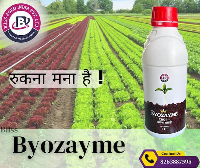 Bilss Byozayme