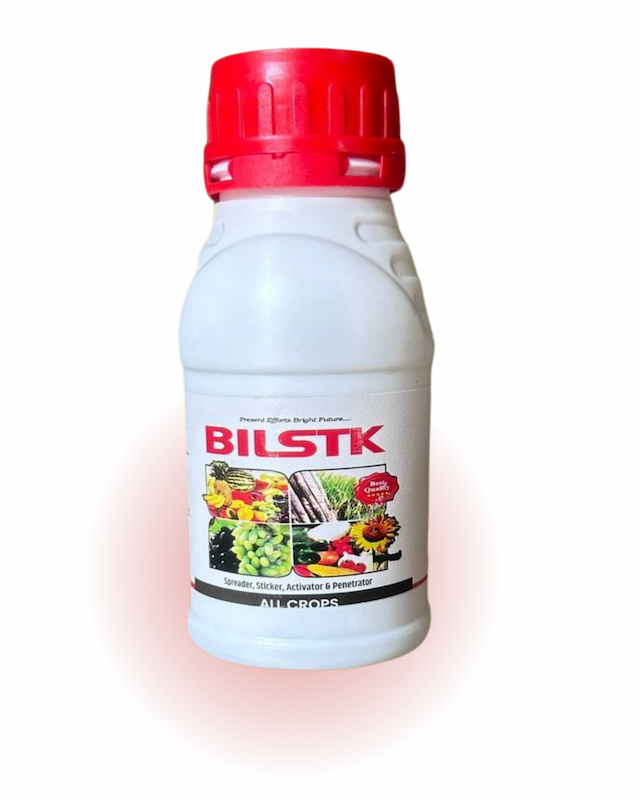 Bilstk