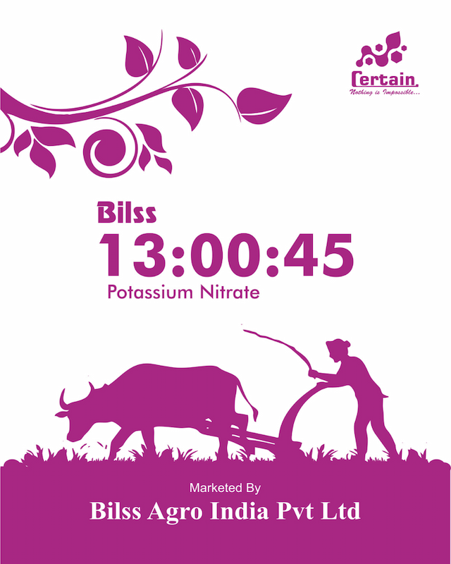 Bilss 13:00:45