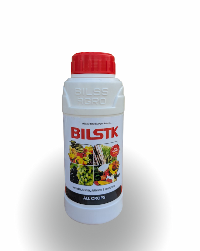 Bilstk
