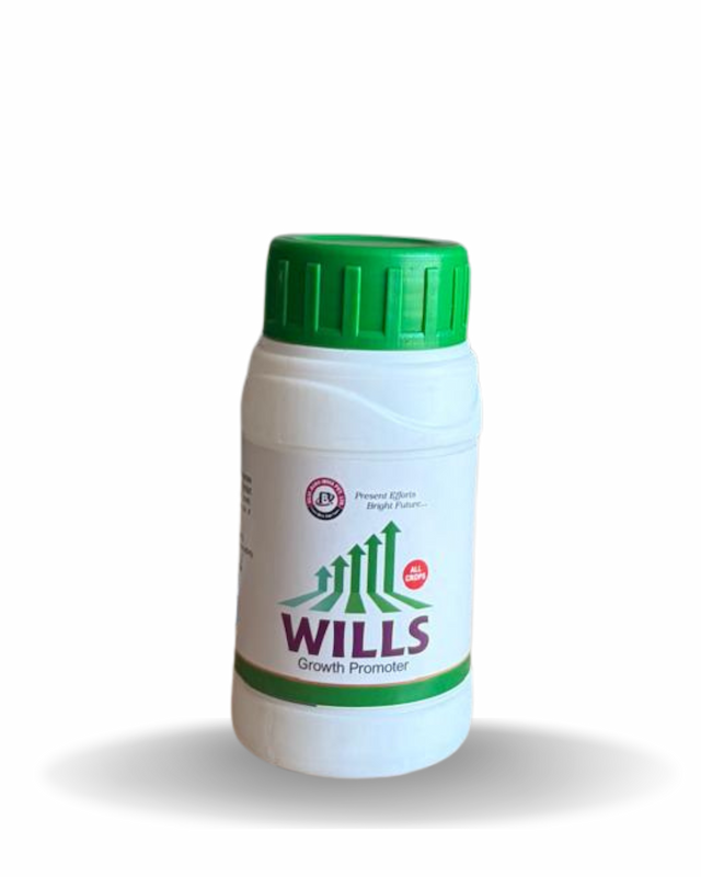 Wills