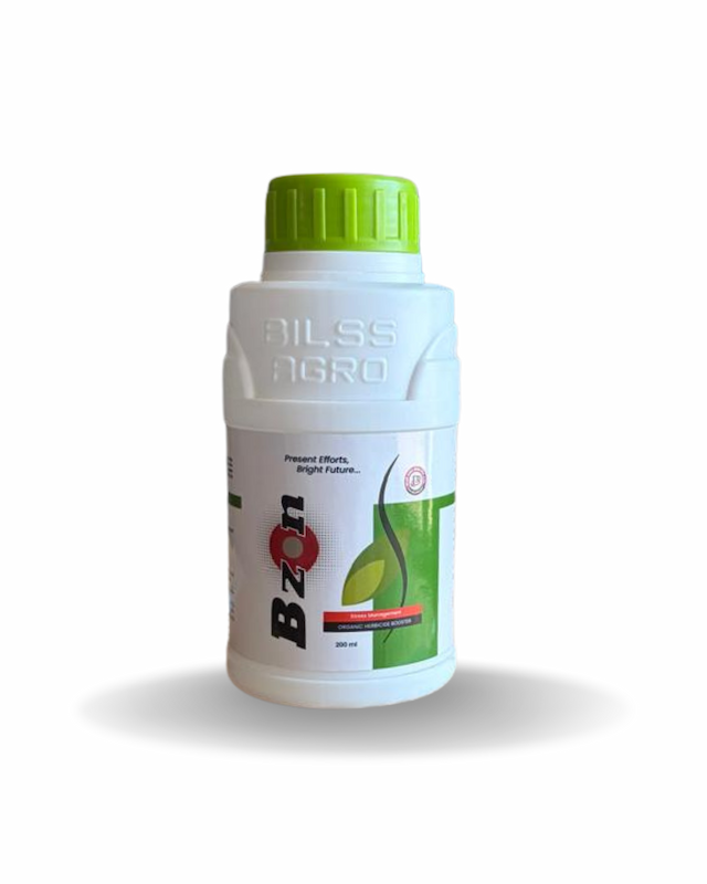 Bzon