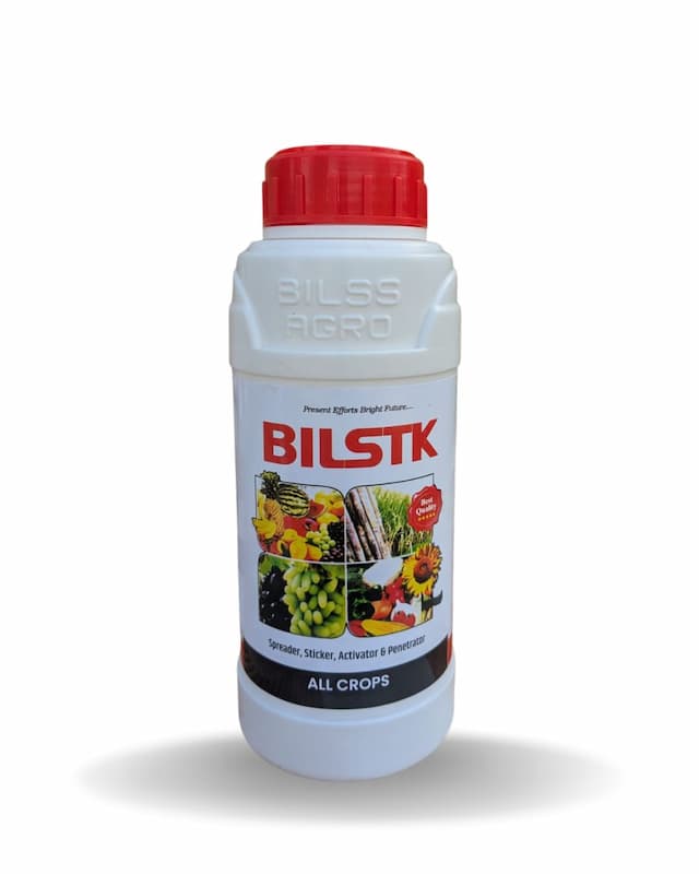 Bilstk