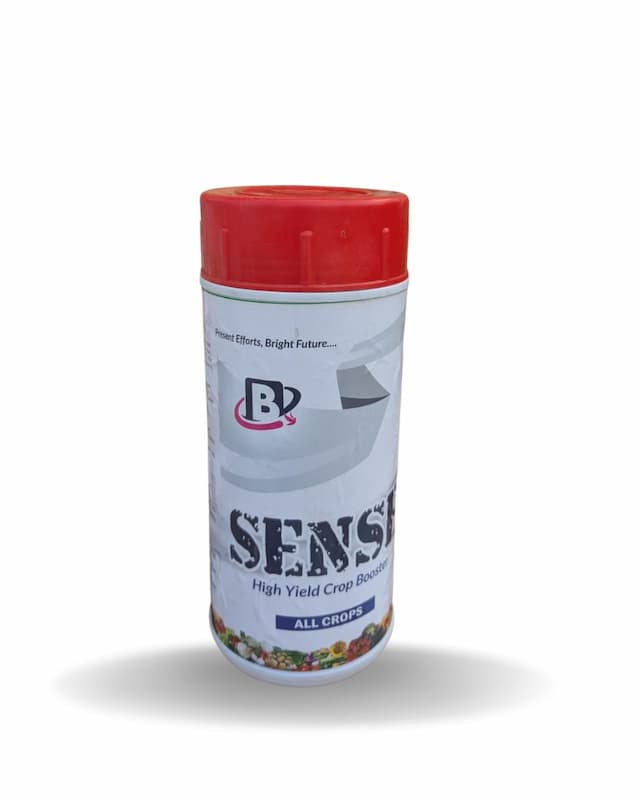 Sense
