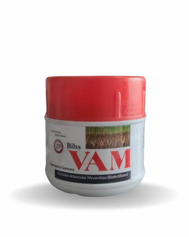 Bilss Vam
